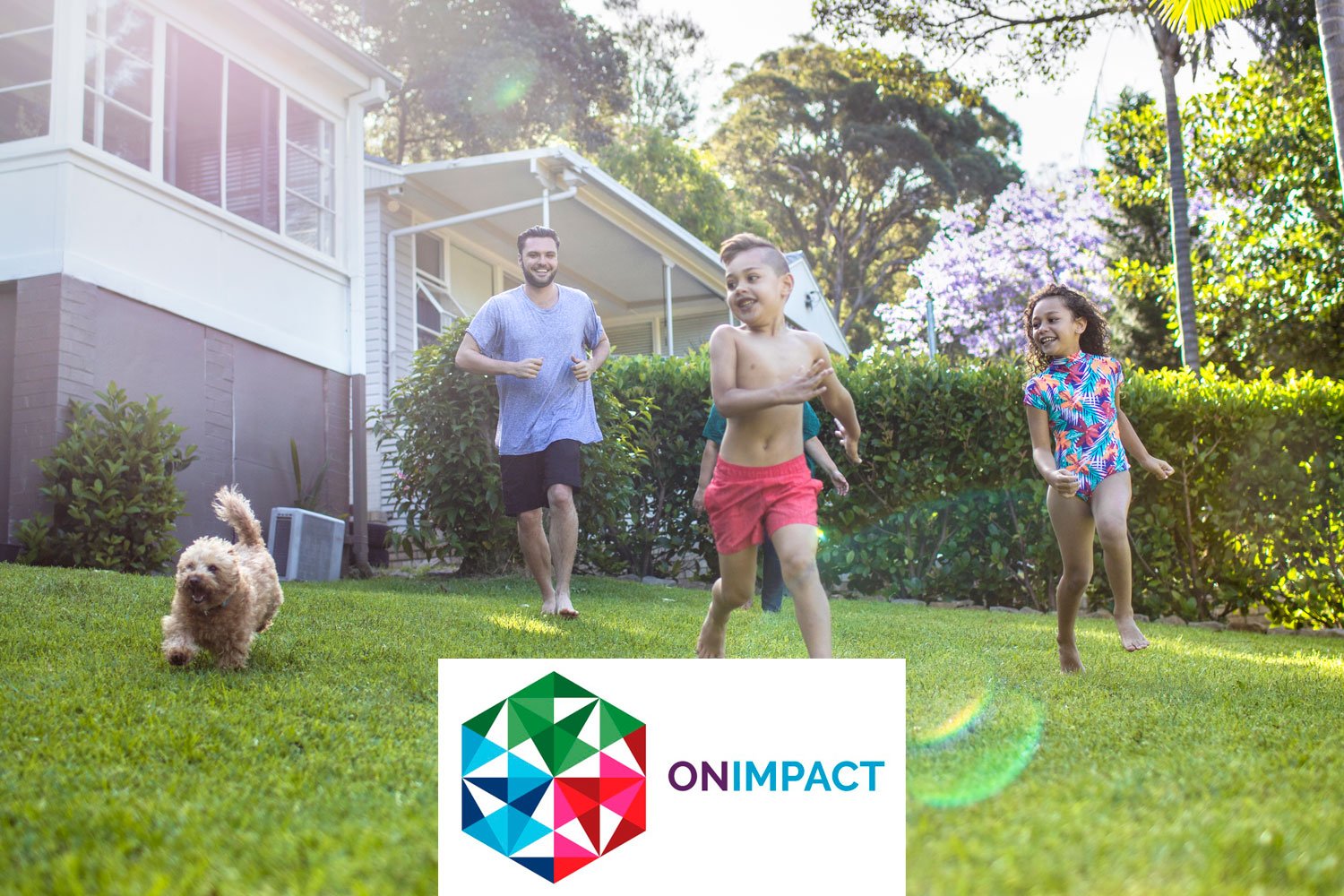 OnImpact Image