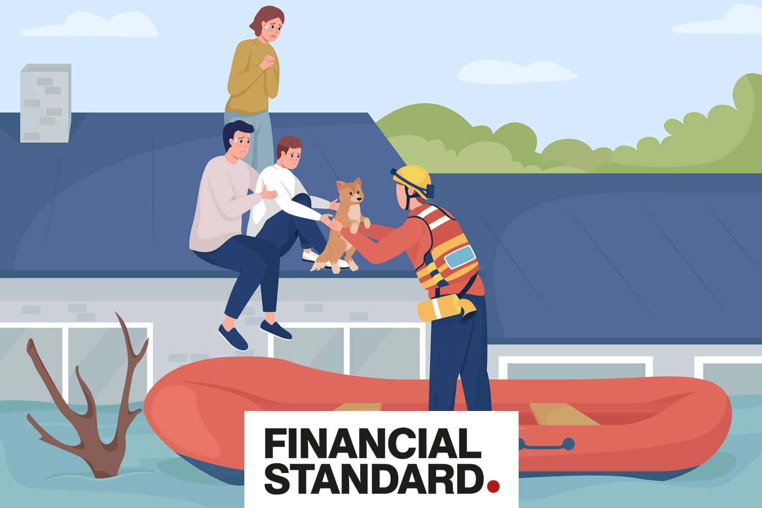 Financial Standard Rescue Image